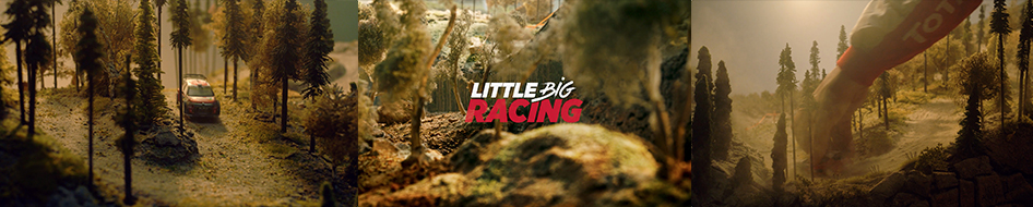 CITROËN WRC / LITTLE BIG RACING / COMPILATION